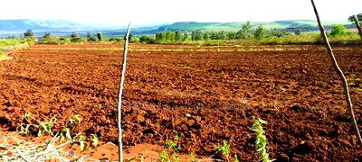 Quik Sale, 8acres in Mbogoini Subukia at 700,000 Per Acre. - Image 2