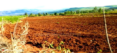 Quik Sale, 8acres in Mbogoini Subukia at 700,000 Per Acre. - Image 1