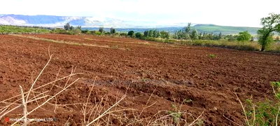 Quik Sale, 8acres in Mbogoini Subukia at 700,000 Per Acre. - Image 10