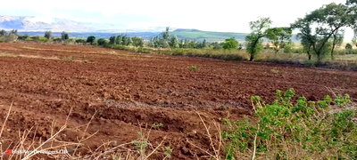 Quik Sale, 8acres in Mbogoini Subukia at 700,000 Per Acre. - Image 11