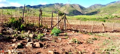 Quik Sale, 8acres in Mbogoini Subukia at 700,000 Per Acre. - Image 7