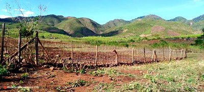 Quik Sale, 8acres in Mbogoini Subukia at 700,000 Per Acre. - Image 6