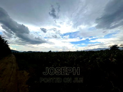 Naivasha Ndabibi Prime and Fertile 50-Acres - Image 1