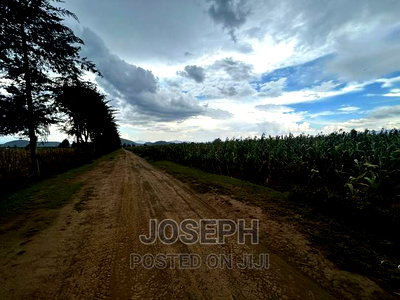 Naivasha Ndabibi Prime and Fertile 50-Acres - Image 13