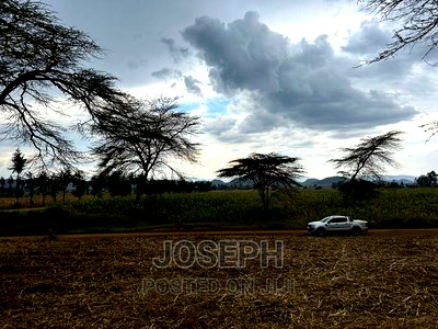 Naivasha Ndabibi Prime and Fertile 50-Acres - Image 12