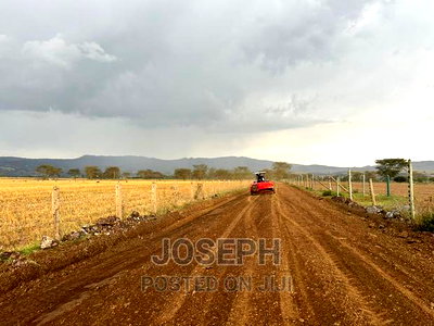 Naivasha Ndabibi Prime and Fertile 50-Acres - Image 5