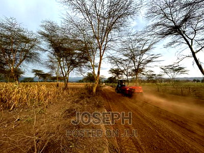 Naivasha Ndabibi Prime and Fertile 50-Acres - Image 15