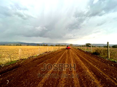 Naivasha Ndabibi Prime and Fertile 50-Acres - Image 4