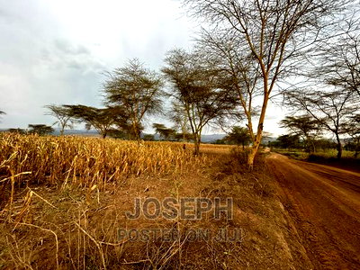 Naivasha Ndabibi Prime and Fertile 50-Acres - Image 10