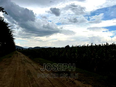 Naivasha Ndabibi Prime and Fertile 50-Acres - Image 3