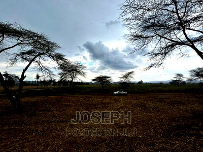 Naivasha Ndabibi Prime and Fertile 50-Acres - Image 17
