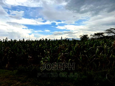 Naivasha Ndabibi Prime and Fertile 50-Acres - Image 8