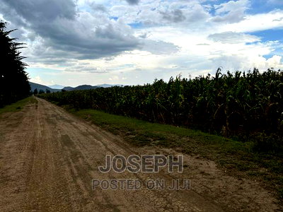 Naivasha Ndabibi Prime and Fertile 50-Acres - Image 7