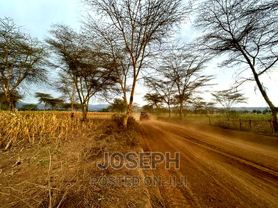 Naivasha Ndabibi Prime and Fertile 50-Acres - Image 16