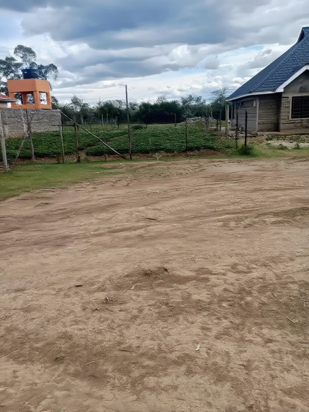 A Plot for Sale