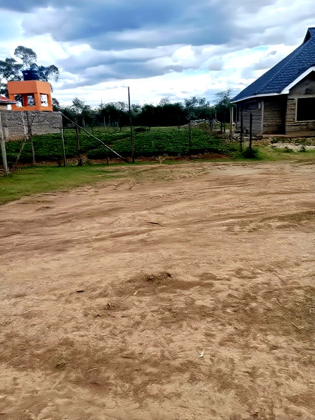 A Plot for Sale
