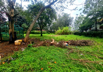 Half Acre Plot with Garden for Rent