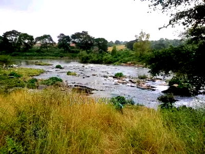 12 Acres Thika Ngoliba 2.6 Per Acre - Image 2