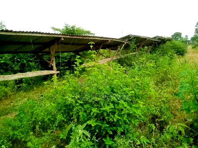 12 Acres Thika Ngoliba 2.6 Per Acre - Image 1