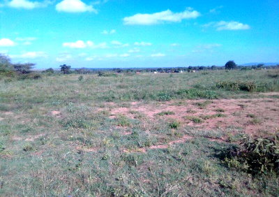 2-Acre Farm in Ndovoini, Machakos