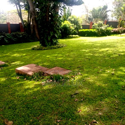 5bdrm House in Lakeview for sale - Image 5