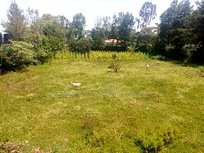 Prime Commercial Plot Selling in Matasia Off Highway - Image 2
