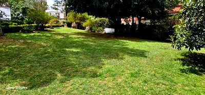 8bdrm Mansion in Elgonview for sale - Image 16