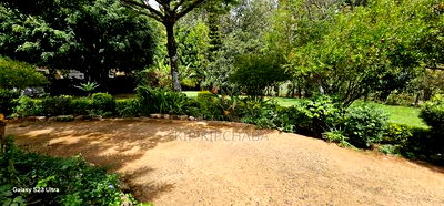 8bdrm Mansion in Elgonview for sale - Image 13