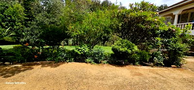 8bdrm Mansion in Elgonview for sale - Image 11