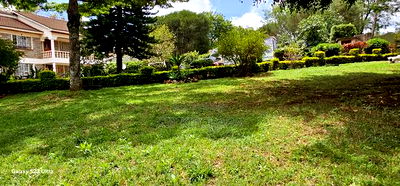 8bdrm Mansion in Elgonview for sale - Image 15