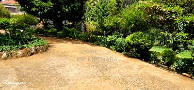 8bdrm Mansion in Elgonview for sale - Image 8