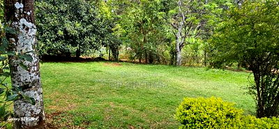 8bdrm Mansion in Elgonview for sale - Image 12