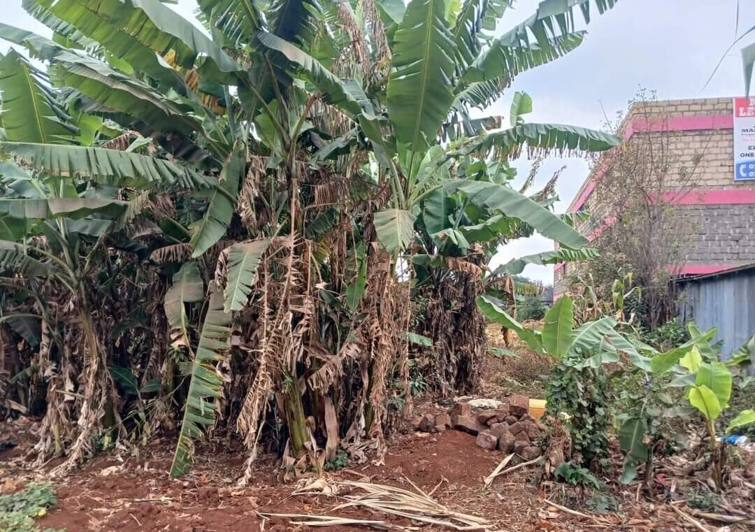 Half Acre Land in Riruta for KSh 25M