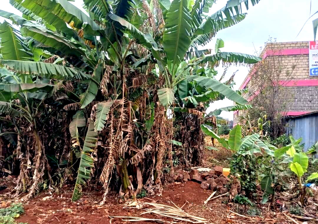 Half Acre Land in Riruta for KSh 25M