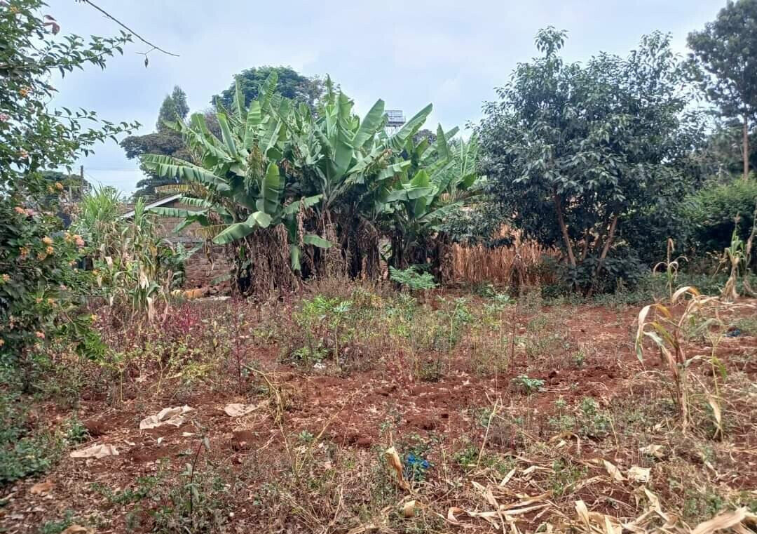 Half Acre Land in Riruta for KSh 25M