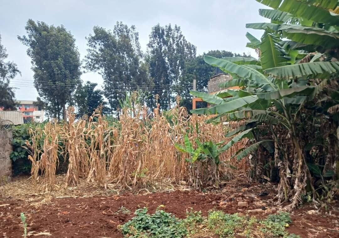 Half Acre Land in Riruta for KSh 25M