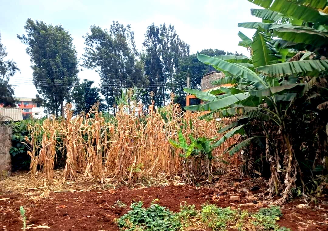 Half Acre Land in Riruta for KSh 25M
