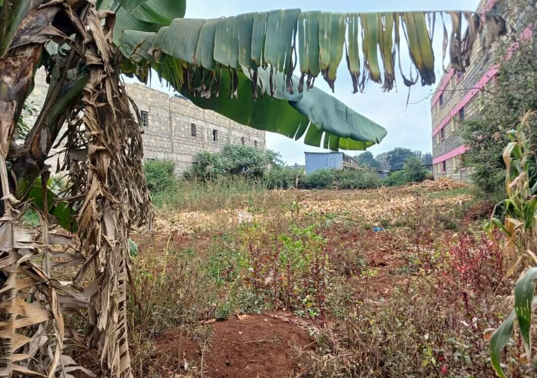Half Acre Land in Riruta for KSh 25M