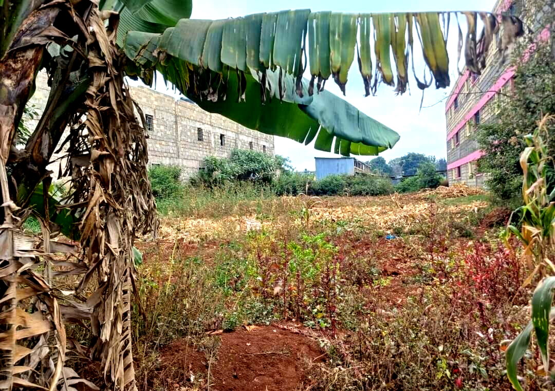 Half Acre Land in Riruta for KSh 25M