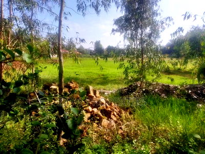 1/2 Acre Fana Road, Karen - Image 6