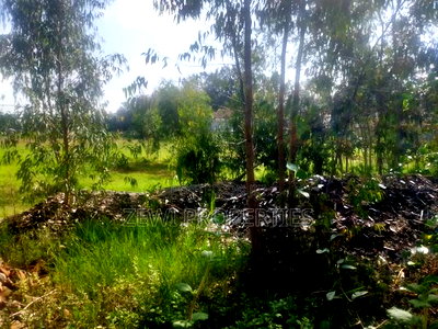 1/2 Acre Fana Road, Karen - Image 5