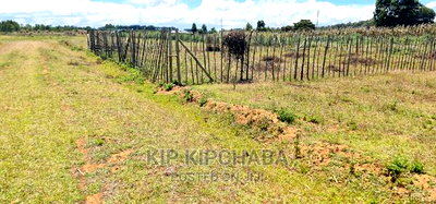 Plot for Sale in Illula Behind Shopping Centre in Eldoret - Image 3