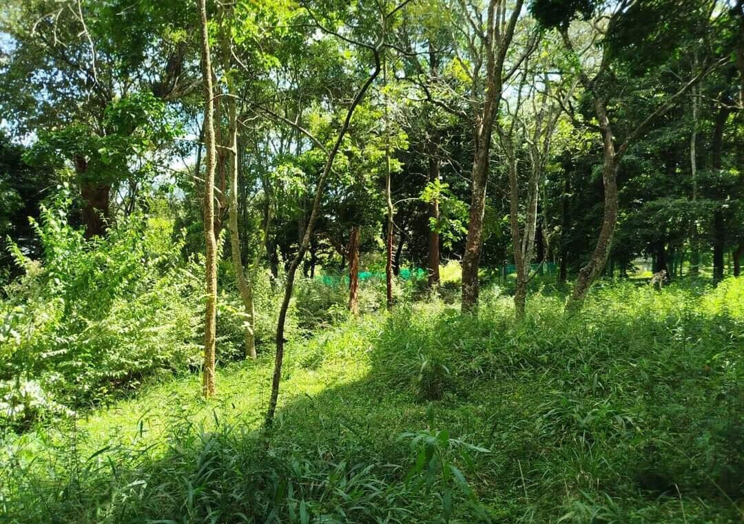 Half Acre in Karen at KSh 45M