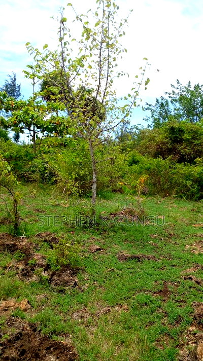 2 Acres Precious Plot on Sale at Corner Chale After Kinondo. - Image 7