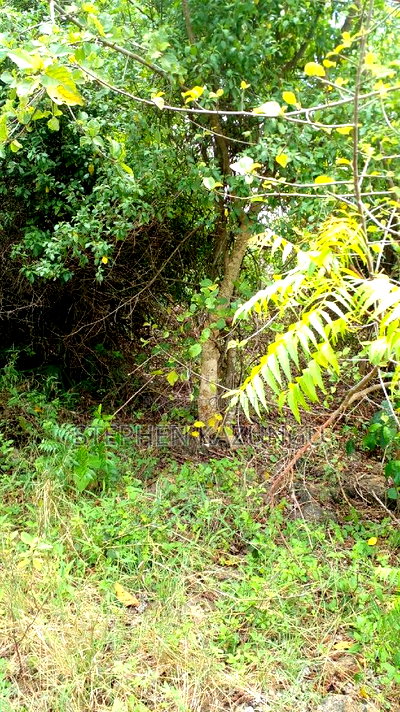 2 Acres Precious Plot on Sale at Corner Chale After Kinondo. - Image 14