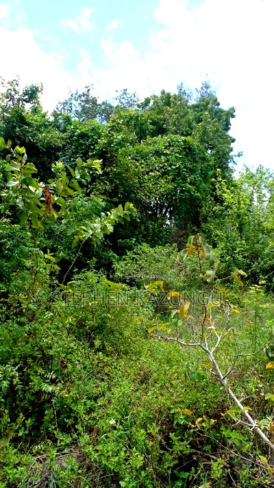 2 Acres Precious Plot on Sale at Corner Chale After Kinondo. - Image 12