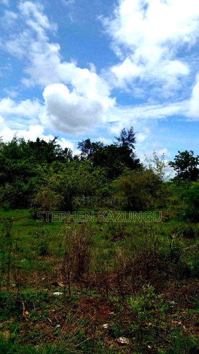 2 Acres Precious Plot on Sale at Corner Chale After Kinondo. - Image 6