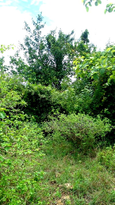 2 Acres Precious Plot on Sale at Corner Chale After Kinondo. - Image 10