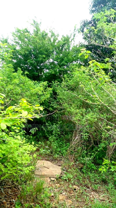 2 Acres Precious Plot on Sale at Corner Chale After Kinondo. - Image 3