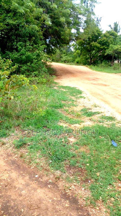 2 Acres Precious Plot on Sale at Corner Chale After Kinondo. - Image 1